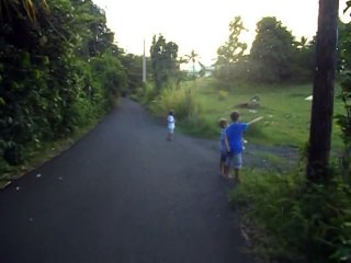 En 2014  petite rando du soir 1