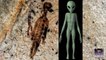 Alien Mysteries: Aliens And UFOs Seen In 10,000 Year Old Cave Paintings. -UFO Alien-