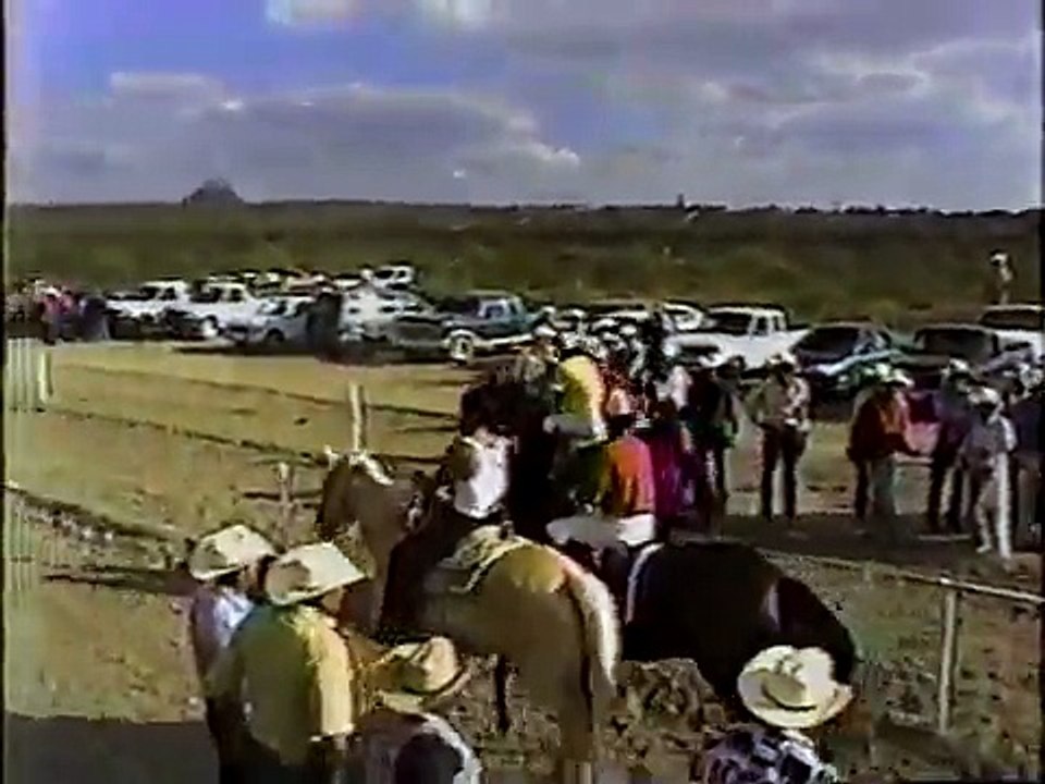 Caballos en Chinga 2 (1996)