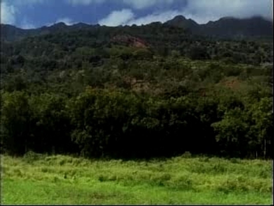 Sawyer, Juliet and Hurley scene