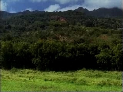 Sawyer, Juliet and Hurley scene