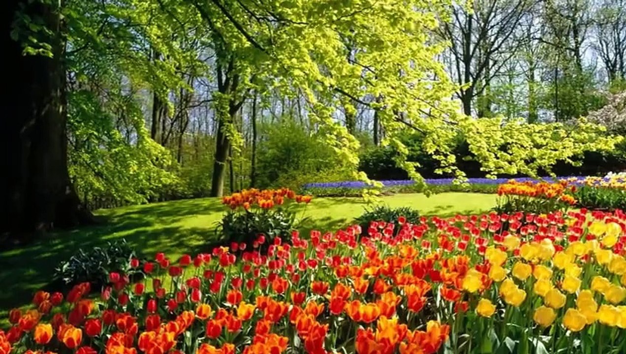 Tanti auguri di buon compleanno amore