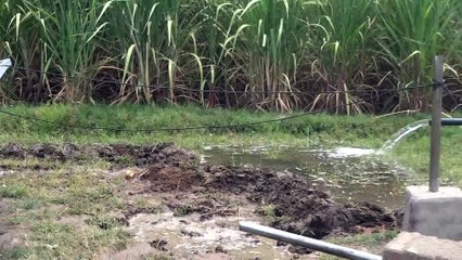 SOLAR Water pump 5hp video by +9203458881410