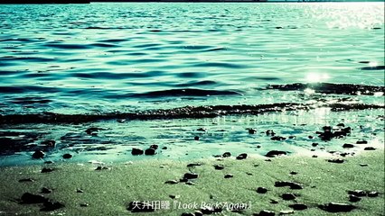 [矢井田瞳] Look Back Again