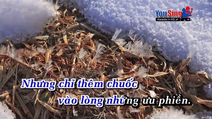 Ai Khổ Vì Ai - Lâm Truyền  Yến Khoa