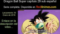 Dragon ball super 29 - Avances
