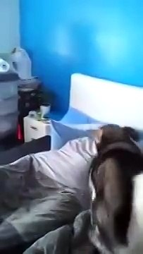 Как надо будить мужа