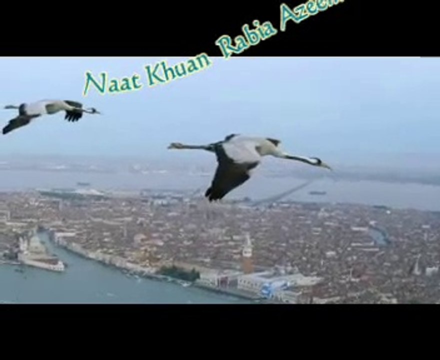 Rabia Azeem