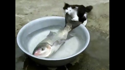 И такое бывает Просто умора