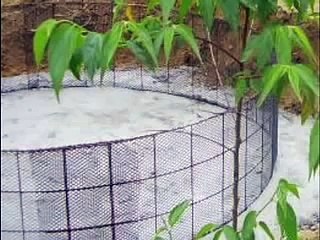 concrete tanks