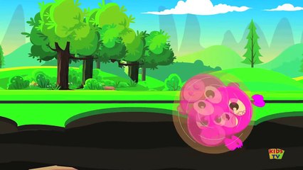 Finger Family Fruits | Nursery Rhymes From Kids Tv