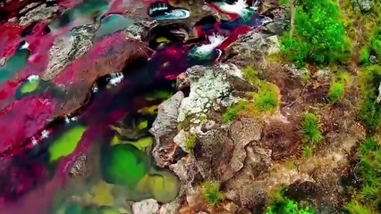 Rare, breathtaking rainbow river on Earth!