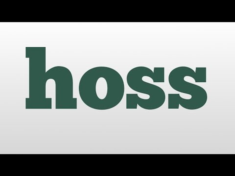 hoss meaning and pronunciation