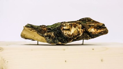 Surreal Stop Motion Timelapse of Objects Being Sanded in Half