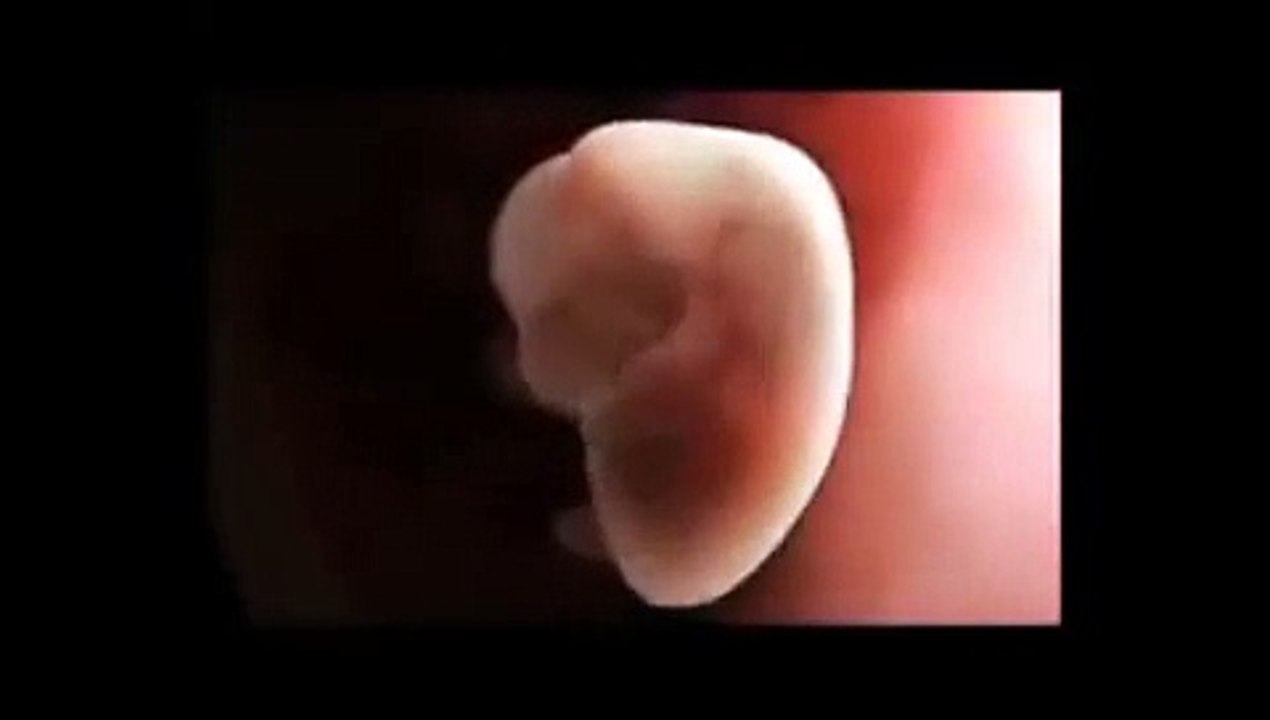 Allaha Şükür Ederek Yaradılışı İzle