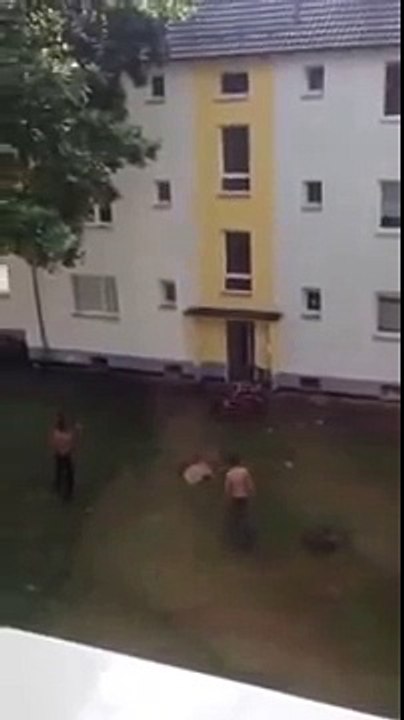 Réfugiés en Allemagne terrorisent les Allemands dans leurs maisons