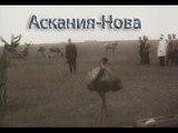 Аскания Нова - 1937    Научно-документальный фильм о биосферном заповеднике в Херсонской области