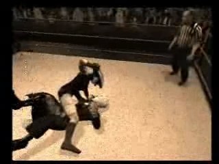 UWA: Lothar Hex Entrance Video