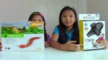 Innovation Scorpion and Giant Scolopendra Creepy Crawlers Toys