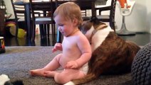 Pitbull cinsi köpeğe masaj yaptıran bebek :)