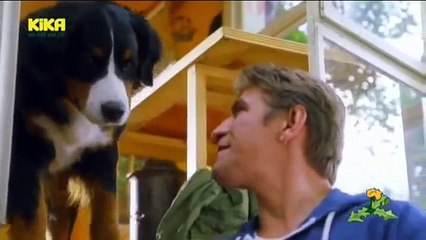 Loewenzähnchen 42 Keks und die Räuber Schwein