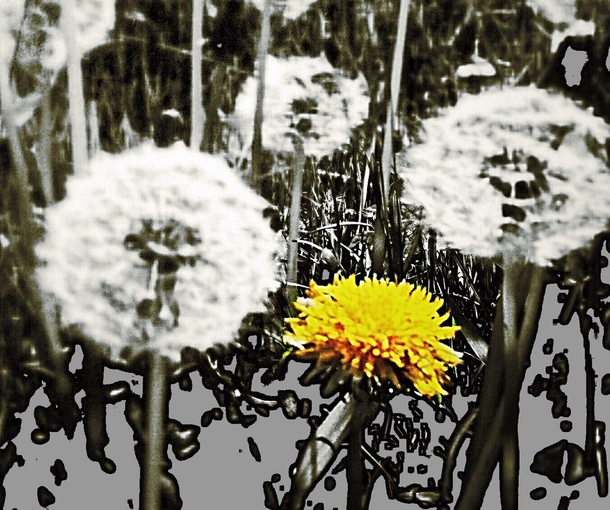 Bjork - Play Dead