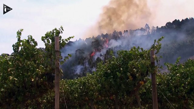 Afrique du Sud : la région du Cap en proie à des incendies