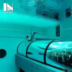 Akvaryumda Muhteşem Deniz Kızı Dansı