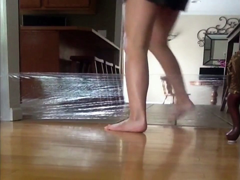 Womans Prank On Cat Backfires