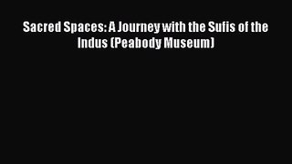 Sacred Spaces: A Journey with the Sufis of the Indus (Peabody Museum) Read Online PDF