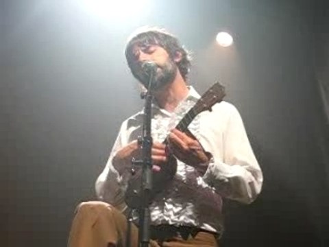 Thomas Fersen : Les papillons