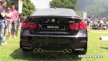 2014 BMW M3 F80 Cold Start & Revs Sound