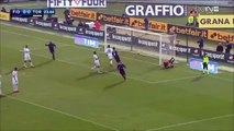 Sjajan gol Ilicica za vodstvo Fiorentine (Ilicic amazing goal) Fiorentina vs Torina 1-0 24.01.2016