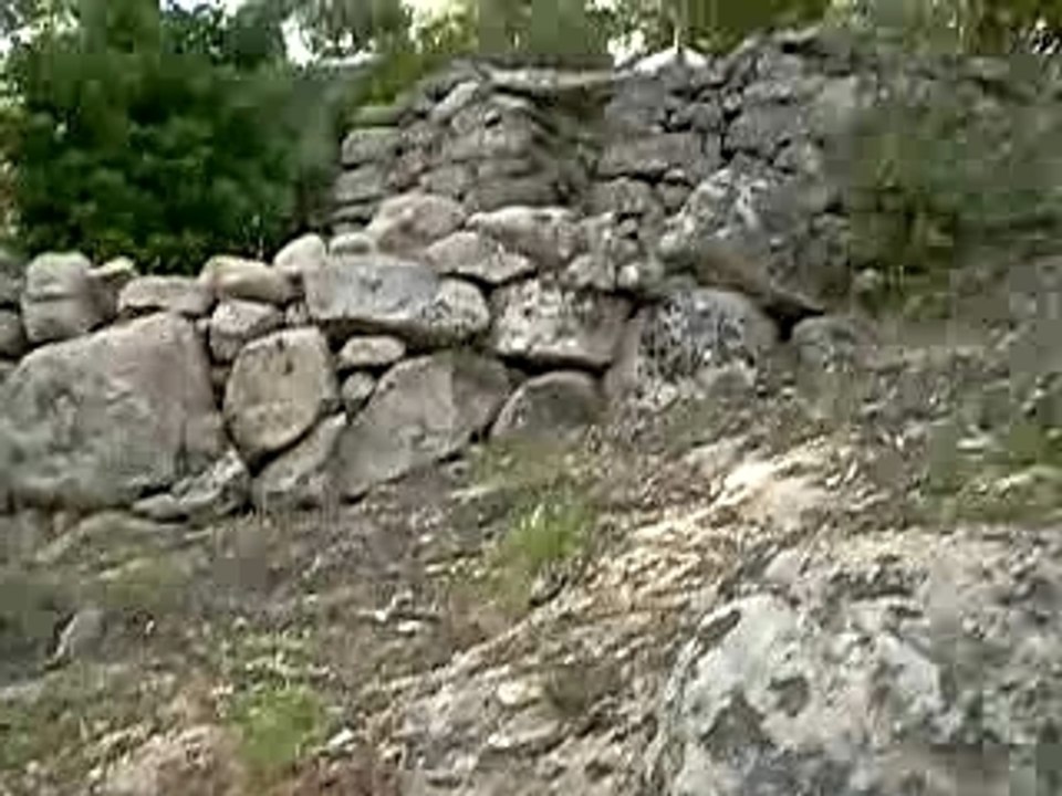 CASEDDU