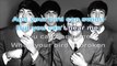 The Beatles - And your bird can sing - karaoke lyrics