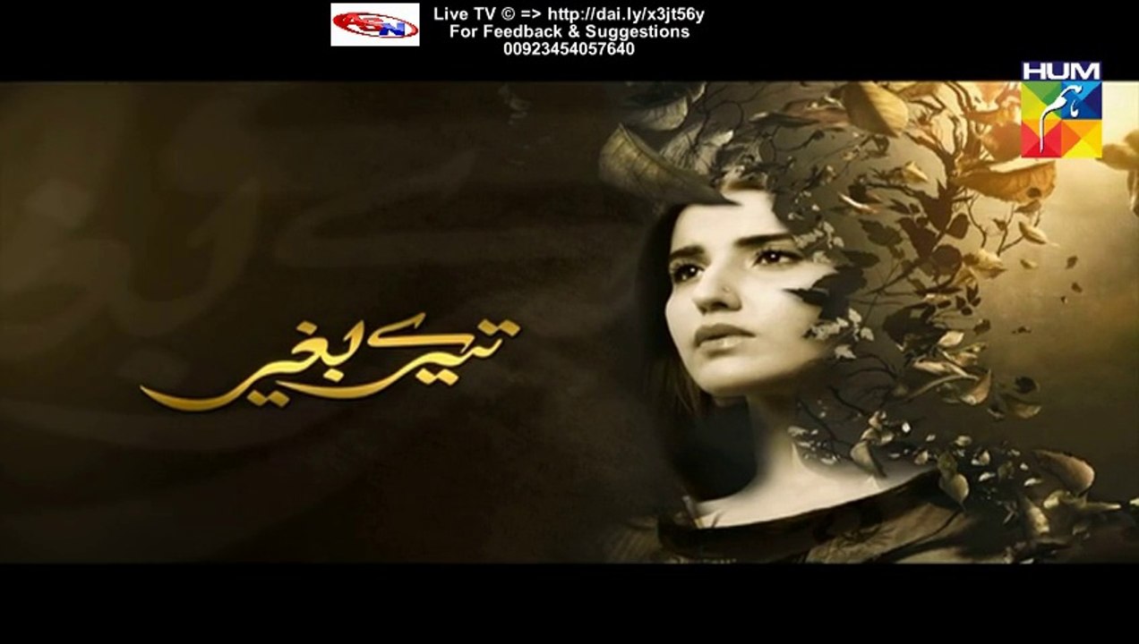 Tere Baghair Hum Tv Drama Last Episode 16 Full (28 January 2016)