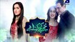 Mujhe Kuch Kehna Hai Geo Tv Drama Episode 24 Full (28 January 2016)