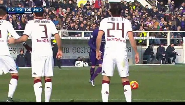 2-0 All Goals Italy Serie A - 24.01.2016, Fiorentina 2-0 Torino FC
