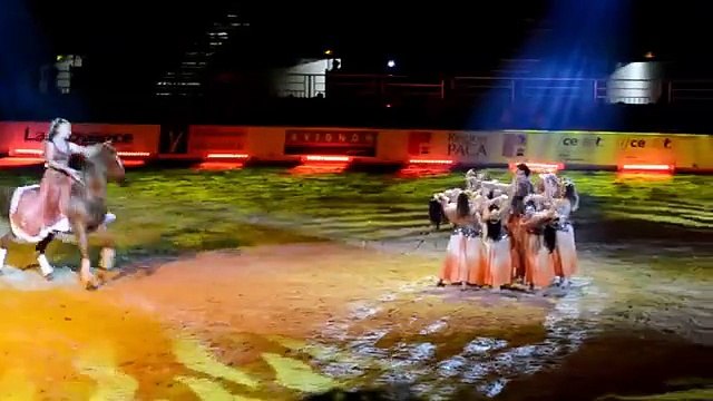 Avignon : Cheval Passion fait le show