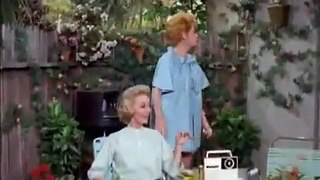 The Lucy Show season 4 episode 2 Lucy and the Golden Greek 1