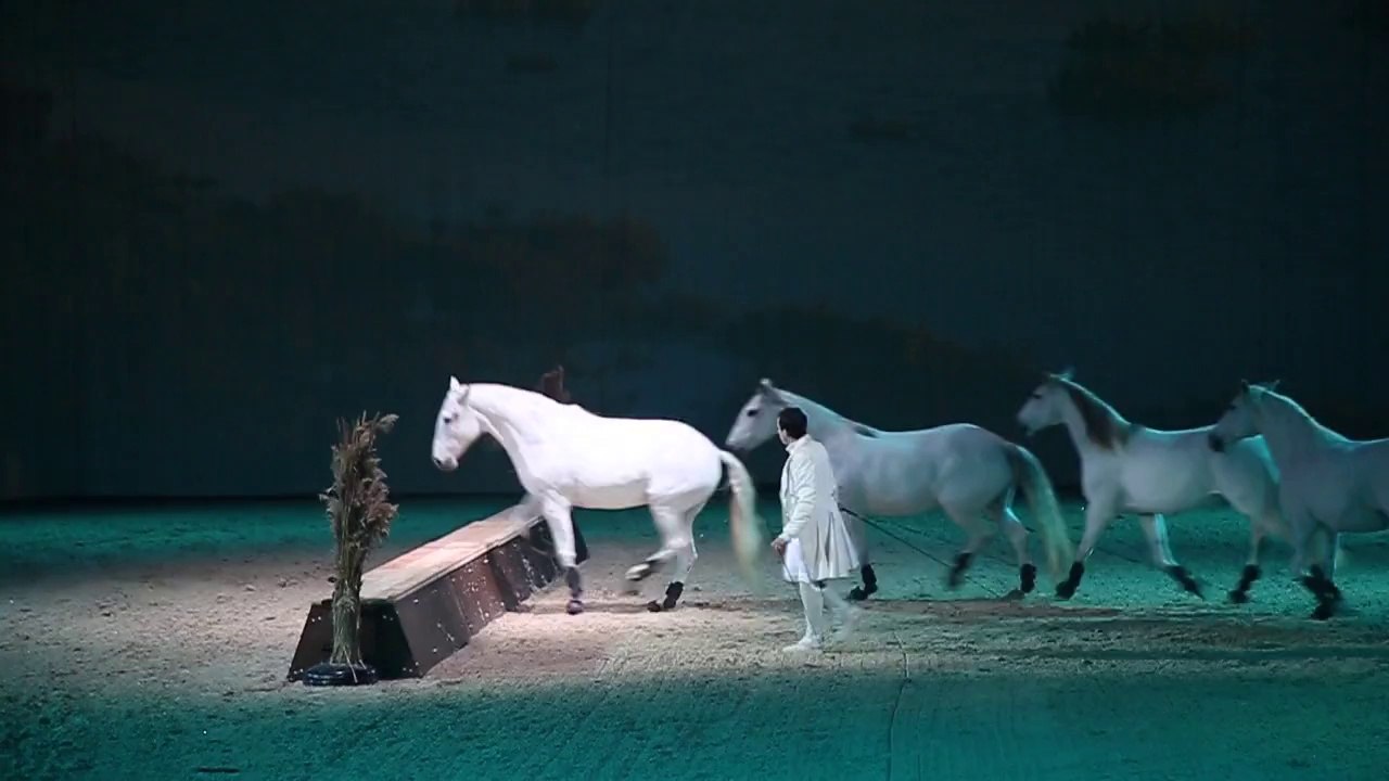 Avignon : Cheval Passion termine en beauté