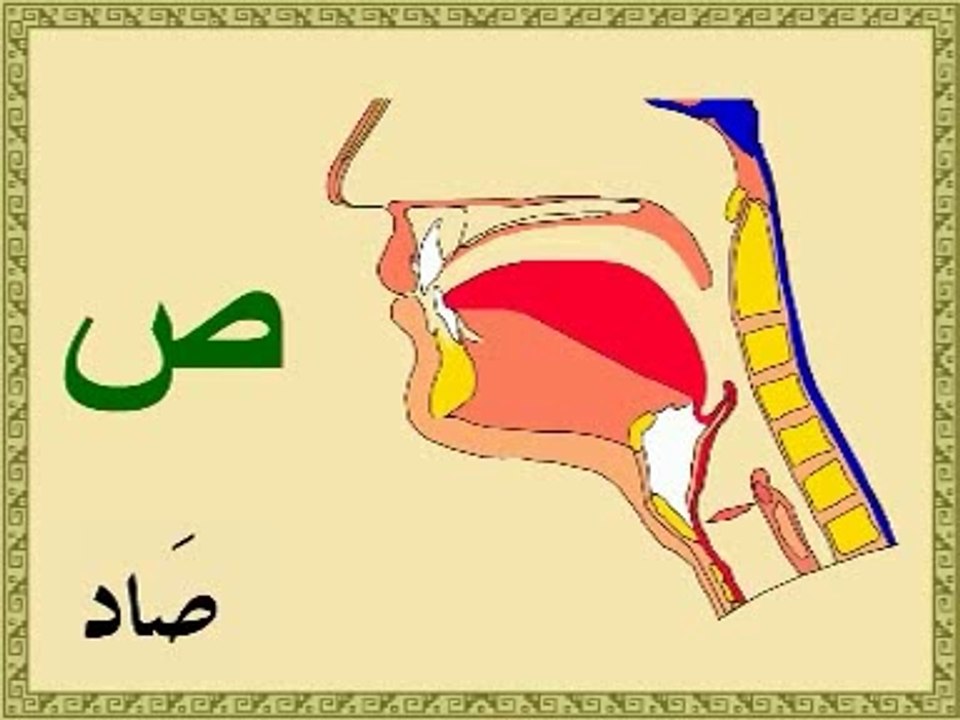 Arabe