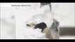 Excited Giant Panda Tian Tian enjoys Washington blizzard- BBC News (FULL HD)
