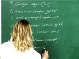 Türkçe Ders 6(ÖSS)-Sözcük Türleri