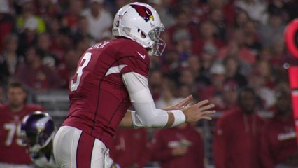Arizona Cardinals: Castoffs to Contenders