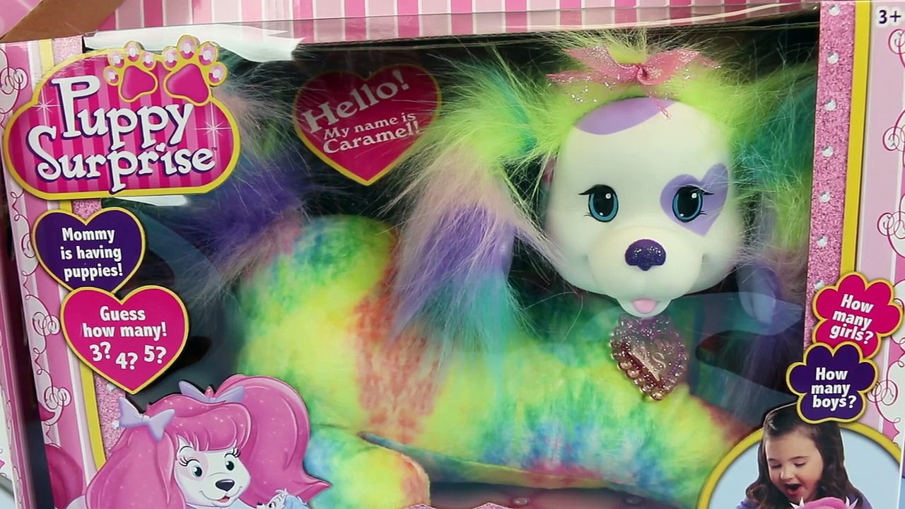 NEW Puppy Surprise 2015 Surprise Toys Dog and Cat with Kitty Surprise Toy Review by Disney