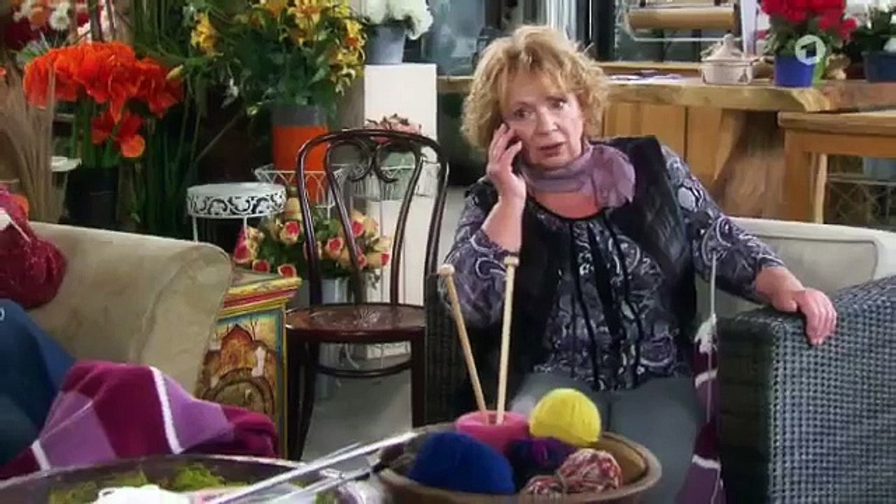 Rote Rosen Folge 1933 - Der Bilderdieb