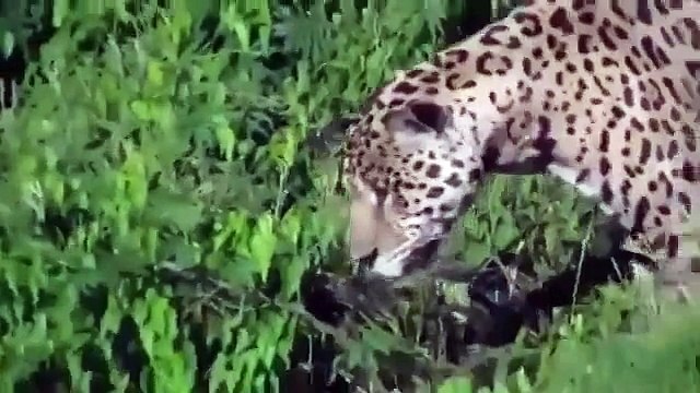 Вот эта сила