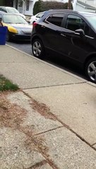 Woman Freaks out over Parking Space