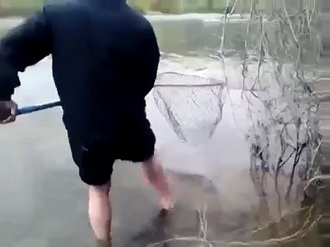 Мужик подкормил место